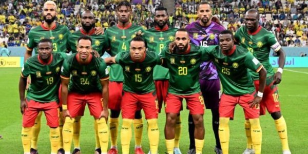 乐鱼娱乐体育-【世界杯】喀麦隆队长补时绝杀染红 巴西负险保头名